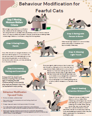 feline anxiety behavior modification poster